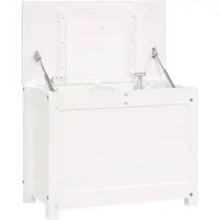 vidaXL Boîte de rangement Blanc 60x32x45,5 cm Bois massif de pin
