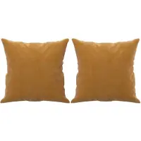 vidaXL Coussins décoratifs lot de 2 Marron 40x40 cm Velours
