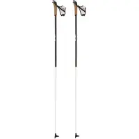 Rossignol Force Poles Argenté 140 cm