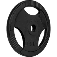 VirtuFit Disque de musculation en fonte