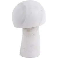 PT Living Mushroom