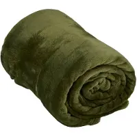 Arti Casa Couverture polaire 150 x 200 cm - Couverture à poser sur le canapé, le lit ou à l'extérieur - Décoration d'intérieur pour le salon et la chambre - Matière ultra-douce - Vert