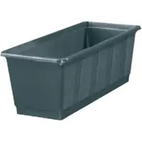 Geli Standard (17.50 cm)