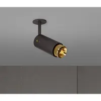 Buster + Punch Exhaust Spot Brass | Graphite | Linear