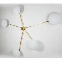 Design For Macha Stella Starfish Plafonnier/Applique Polished Brushed