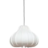 Ay Illuminate Koro Suspension Medium
