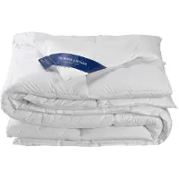 De Witte Lietaer Couette Tempérée De Witte Lietaer Ducky Duvet de Canard-140 x 220 cm