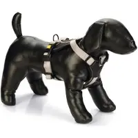 Beeztees Harnais Pour Chien Premium Parinca Y