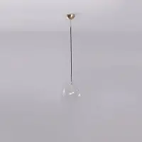Schwung Glass Globe Suspension Lacquered Burnished Brass | Ø: 250mm