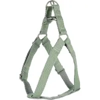 Flamingo Service Step & Go Elly, couleur vert clair, taille M