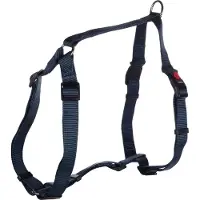 Flamingo Harnais Pour Chien Ziggi H