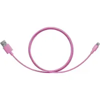 PNY Charge & Sync - câble Lightning - 1.2 m