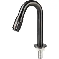 Differnz Fonteinkraan gebogen 19cm gun metal (30.416.35)