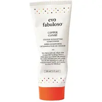 Evo Fabuloso Colour Boosting Treatment après-shampoing pour souligner la couleur de cheveux teinte Copper 220 ml