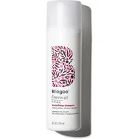 Briogeo Farewell Frizz Smoothing Shampoo 236ml