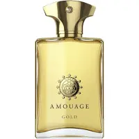 Amouage Gold Man Eau de Parfum pour homme 100 ml