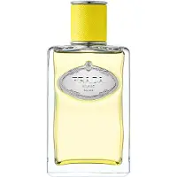 Prada Les Infusions: Infusion d'Ylang Eau de Parfum mixte 100 ml