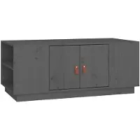 vidaXL Table basse Gris 100x50x41 cm Pin massif