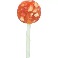 Trixie 315432 Snack 50 Units Orange 20g