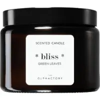 The Olphactory Ambientair Green Leaves bougie parfumée Bliss 360 g