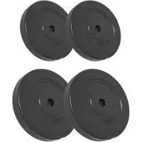 vidaXL Disques d'haltères 4 pcs. 30 kg ciment