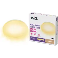 Wiz 17w Rd 2700k Dim Desk Lamp Doré One Size / EU Plug 220V