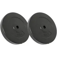 vidaXL Disques d'haltères 2 pcs. 30 kg ciment