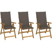 vidaXL Chaises de jardin pliantes 3 pcs. avec coussins en bois massif d'acacia