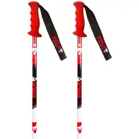 Vola Bâtons Sl Carbon