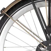 Alpina Fender Rod arrière 26 courbe or mat