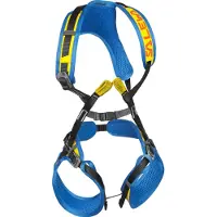 Salewa Rookie Full Body Junior Harness Bleu,Jaune Enfants