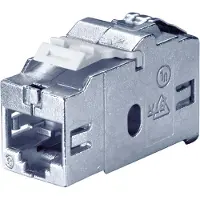 Bachmann CAT6 RJ45 - Adaptateurs et connecteurs de câbles (RJ45, RJ45, Fema