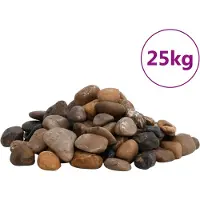 vidaXL Galets polis 25 kg Multicolore 2-5 cm