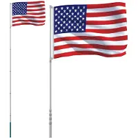 vidaXL Drapeau des États-Unis avec mât 5,55 m Aluminium