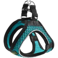 Hunter harnais Hilo Comfort, couleur:turquoise, tailles:XS
