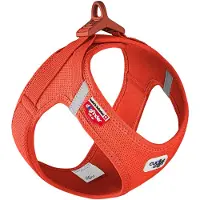 Curli Vest Harness Clasp Air-Mesh - Sun Orange - XS