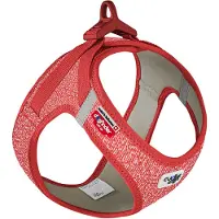 Curli Harnais Pour Chien Merino