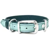 My Family Collier De Chien Firenze