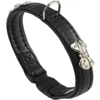 Ferplast Collier De Chien Joy 20 Mm 31 Cm