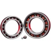 Zipp 61903 Ceramic Bearings Rouge