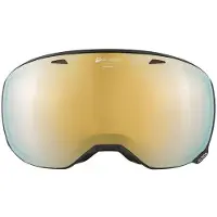 Alpina Masque de Ski Alpina Big Horn Q Black Matt