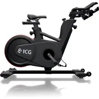 Life Fitness Vélo de biking ICG IC5