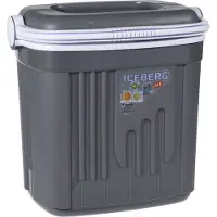 Coppens Glacière de voyage portable 20 L gris