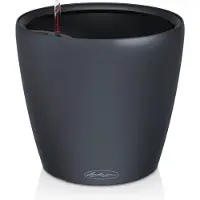 Lechuza Classico Color (28 x 28 x 26 cm)