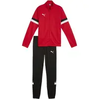 Puma Survêtement 'TeamRise' gris / rouge / noir / blanc cassé