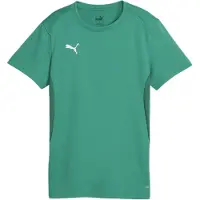 Puma Femmes, T-shirt de sport, teamGOAL Jersey Wmn (L), Vert, L