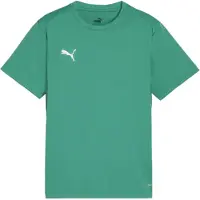 Puma T-Shirt fonctionnel 'TeamGoal' vert / blanc