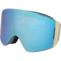 Anon Ski glasses Sync Rock Lichen Perceive Variable Blue/Cloudy Pink + Spare lens