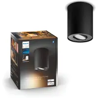 Philips Pillar 1 Spot Monté en Surface White Ambiance Noir + Variateur