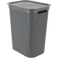 Rotho Brisen Clothes Basket 50 L Gris 50l